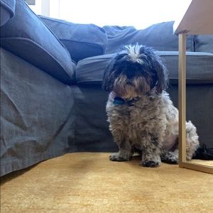 Meet your Posher, Elyse